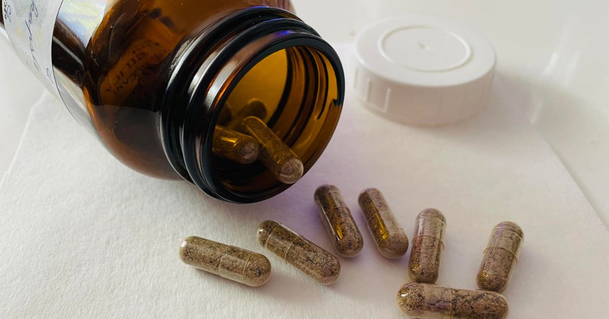 placenta, zpracování